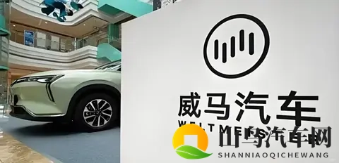 威马“物理复活”只是第一步，“市场复活”才是终极目标-2