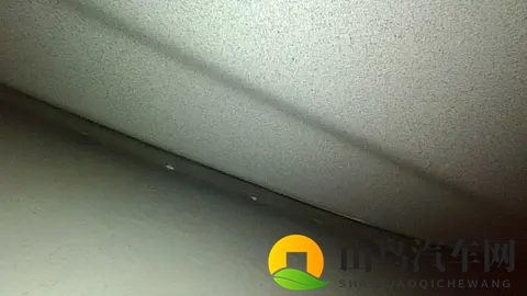 预售开启！欧拉5携手侯明昊“共赴热爱”-1