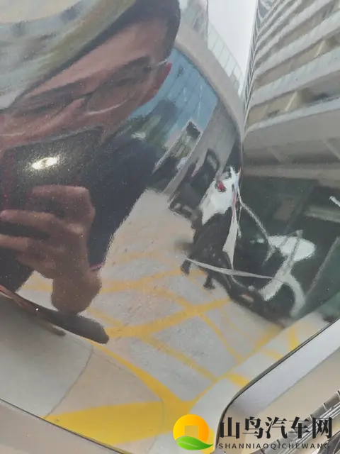 结合油电混合更香！20款丰田RAV4荣放，一手车况！-1