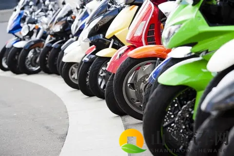 中国电动车的世界奇迹：廉价革命背后的双刃剑-1