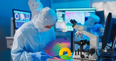 荷兰“认输”归还安世还不够，必须严惩荷兰安世高层-3