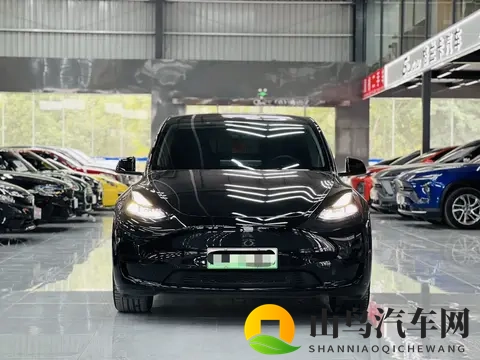 17万不到拿下特斯拉Model Y，体验未来科技出行！-3