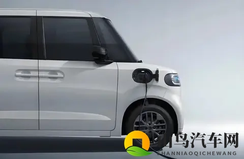 比亚迪的老头乐进军日本，揭开了岛国真相-1