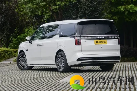 双十一给家人选礼，咱得挑个实在又暖心的！极氪009这波福利真行-2