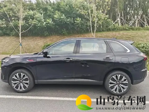 男生和女生差差差APP：性别定制汽车服务新突破，个性化体验升级-3