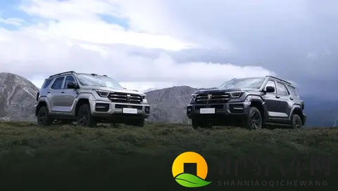 2498万元起，全新坦克400多动力齐发-3