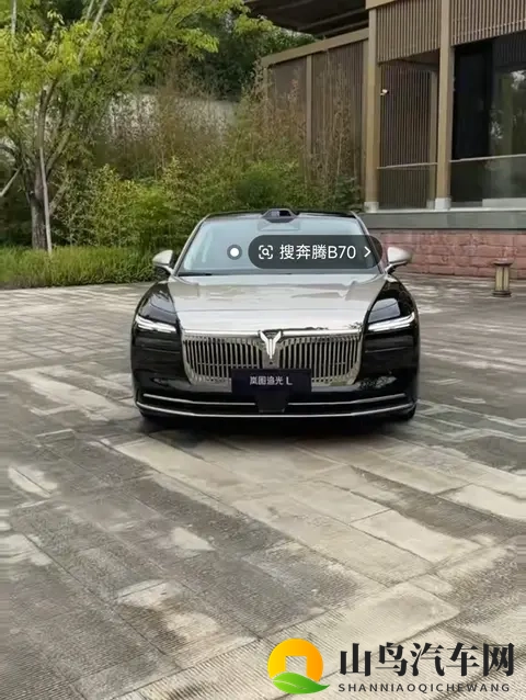 岚图下线30万辆，价格战里另辟蹊径，央企造车也得接地气-1