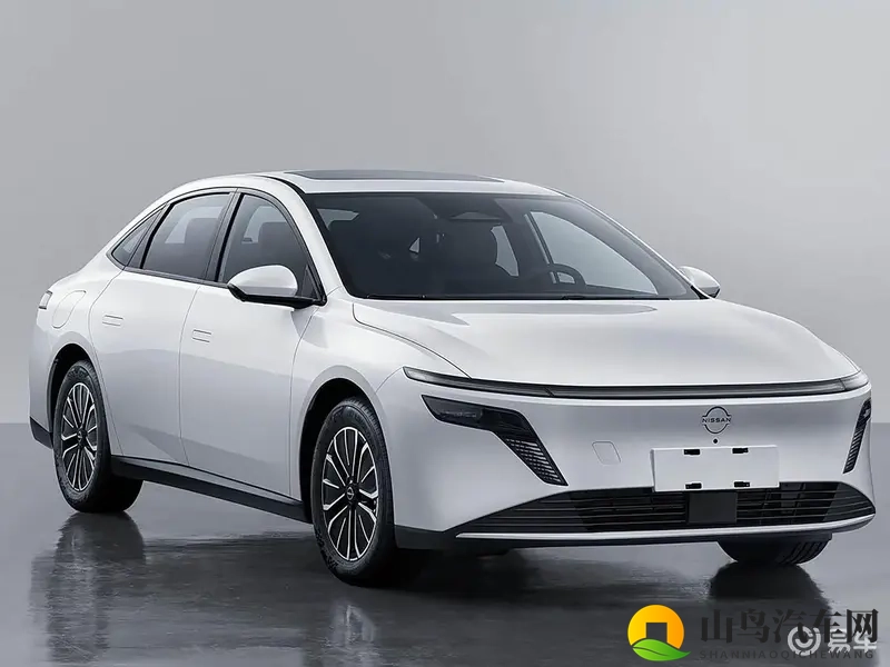 日产N6预售中，网友期待值高，认为价格合适将成爆款-1