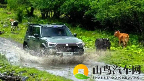 2025年中国最佳动力总成出炉：坦克、吉利、捷途、仰望等品牌入选-2