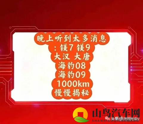 方程豹要推“镁”车，命名太硬核，品牌能扛住吗-1