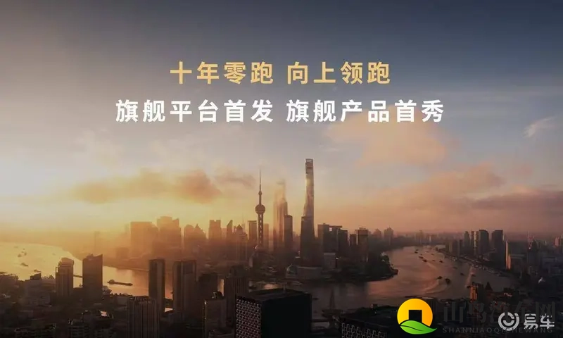 黑人双人rapper是纯还是仿：汽车选购难题：纯种还是仿制？-1