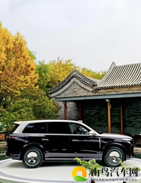 岚图泰山，从细节中读懂东方豪华-2