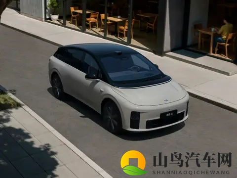 份额连续三月下滑，理想转战纯电，增程要亡？明年这些车要出大招-2