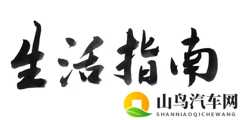 年底买车真的划算吗？老司机教你避坑拿实价，看完再下单！-2