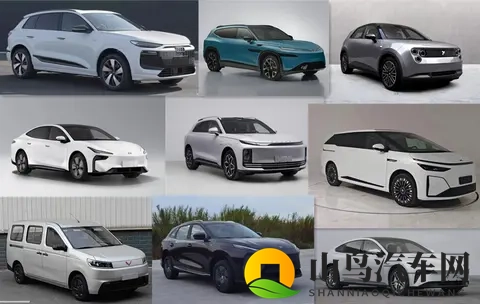 工信部第401批新车：“金标大众”殊死一搏-2