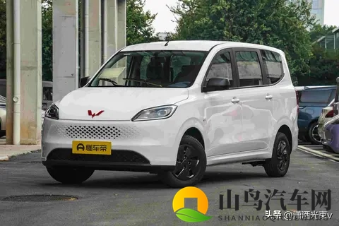 五菱微面要变天,工具车玩出三套动力,谁在悄悄改写乡村出行?-2