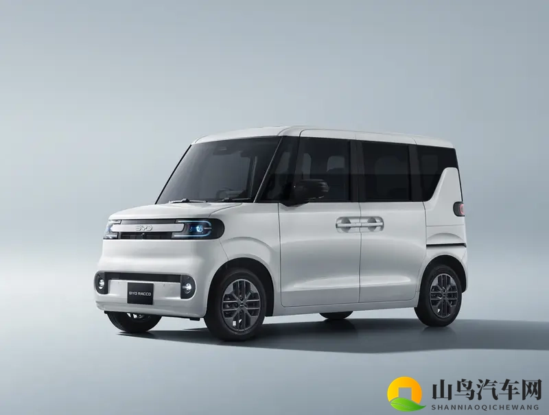 比亚迪海獭，20度电池，WLTC续航180km-1