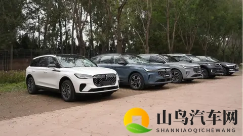 豪华 SUV 怎么选？实测后我偏向航海家✨-2