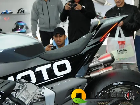 日本体内she精4╳╳╳:混动技术革新,重新定义能效标杆-2