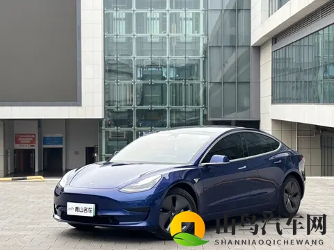 一手20款特斯拉Model3,10万出头体验未来科技?-2