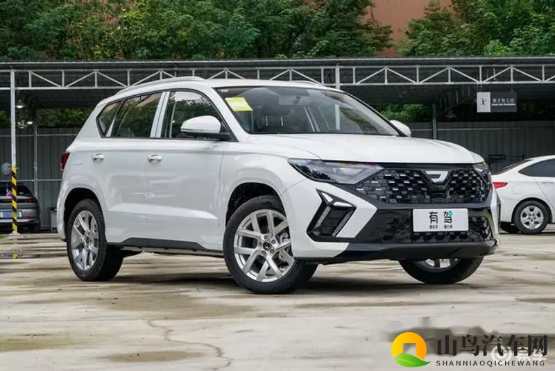 999热这里只有精品：汽车盛宴：独家视角揭秘热门车型-1