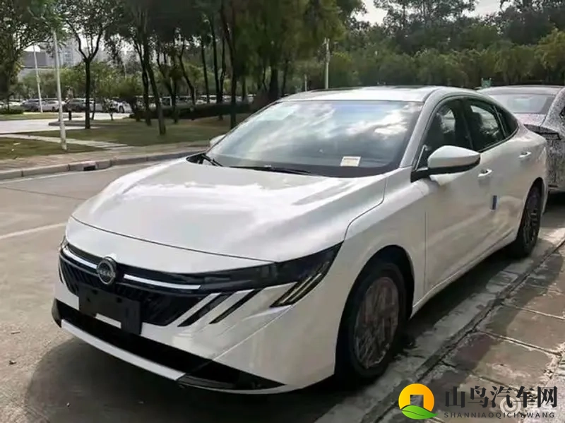 新轩逸登场，造型抢眼，堪称家轿典范-1