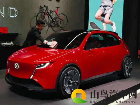 美女被插软件：汽车科技新趋势，跨界融合创新未来-2