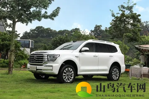 谁才是国内“越野一哥”?坦克、方程豹、猛士10月销量出炉-1