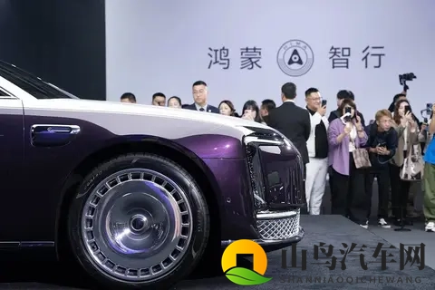 尊界S800断层领先！国内70万以上超豪华轿车10月销量排行榜公布-1