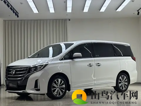 20款传祺M8,118万宜商宜家,奶爸升级MPV好选择-2