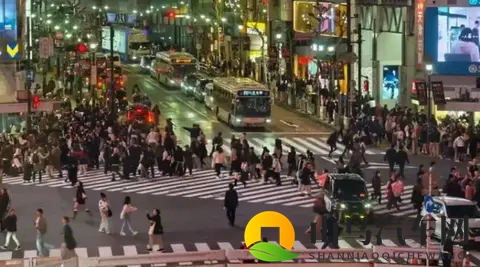 东京车展观察：熟悉又陌生的日系车与单刀赴会的国产力量-3