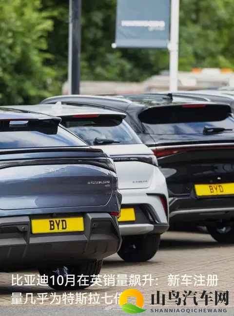 比亚迪10月销量是特斯拉7倍，中国电车在海外杀疯了-1