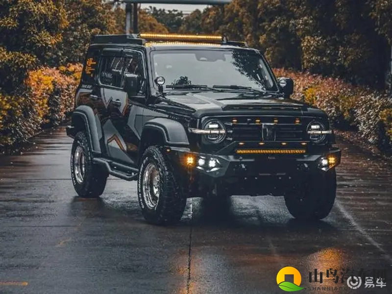 亚洲第一大综合：引领亚洲，规模之最的综合巨头-2