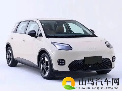 萤火虫终于有对手了，广汽_宁王_京东联合打造，最低499万起-2