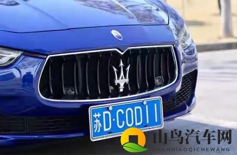 全汉字车牌上路被人举报？交警来到笑了：我真管不了-2