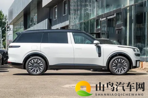 别让“大三排”变“大焦虑”，乐道L90和领克900谁更懂二胎家庭？-1