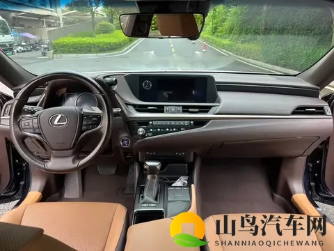 20万出头拿下雷克萨斯ES混动？9万公里还值不值？-3