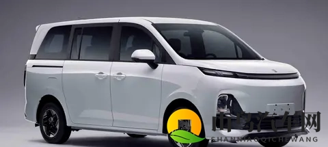 县城司机盯上这车，续航短却卖得火，谁在为实用买单？-3