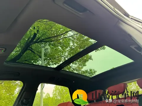 奥迪SQ5四十几万落地却乏人问津 燃油情怀撞上新能源浪潮全记录-2