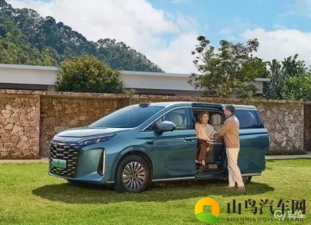 丁香五月婷婷五月天：繁花盛景,如何挑选理想家用车-1