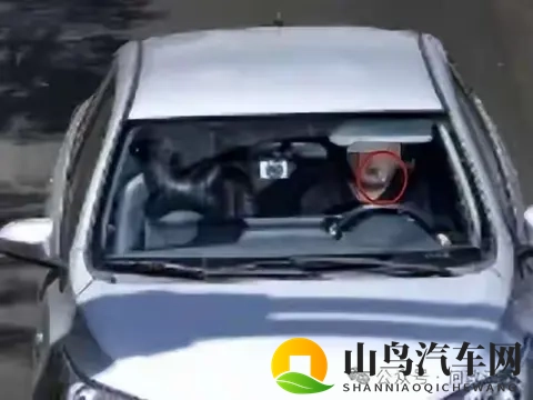 无锡男子开车叼牙线被罚,网友吵翻!-1