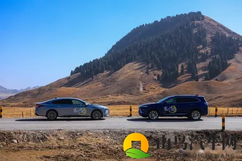 别克十年再出发，老车新路遇挑战-2