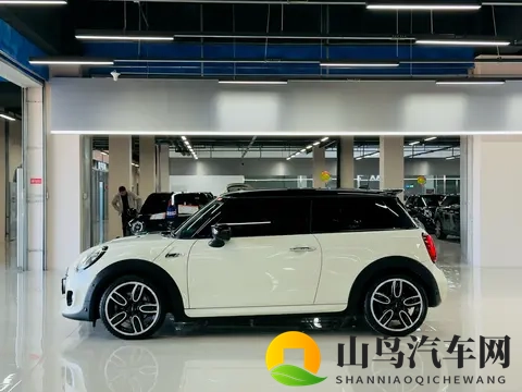 黑暗正能量：挑战阴影，发掘生命之光-2