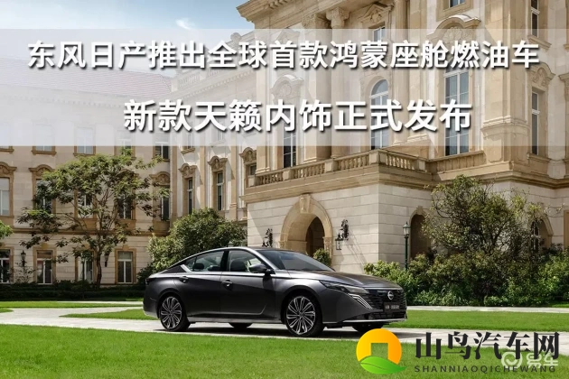 深夜激情网：深夜热聊社交平台-1