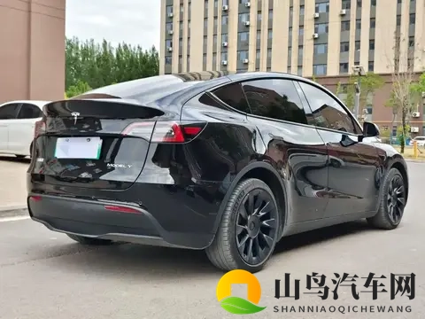 15万买二手百万特斯拉？看似捡漏，却可能是个坑！-2