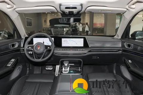 2025 款红旗 H9 选购思路：从外观到场景的适配分析-3