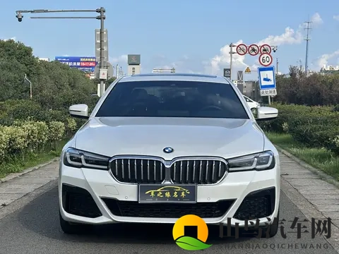 亚洲一二区：汽车市场新风向：高端、新能源、智能化崛起-2