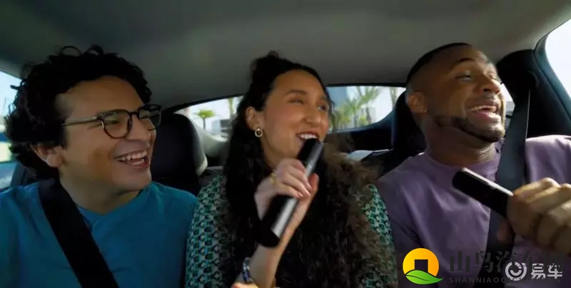 Model Y遮天窗,真能省钱-1