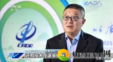 免税快没了,大家疯抢车,车企开始拼真本事-2