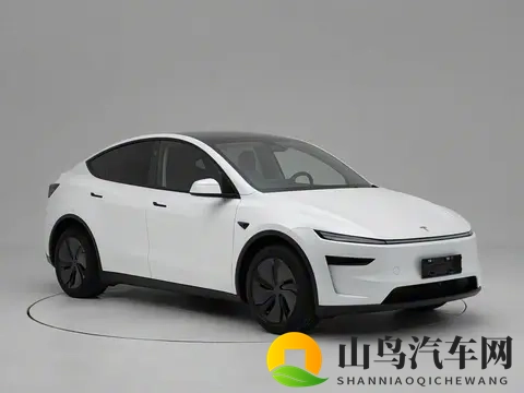 特斯拉Model Y长续航后轮驱动版上市 ，售价2858万元-1